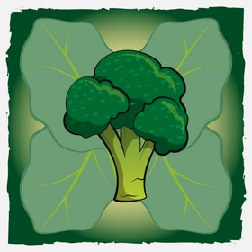 Broccoli vegetable with leaves background vector