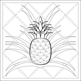 Pineapple fruit drawing black and white vector