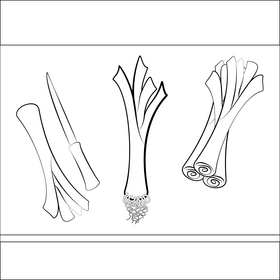 Leeks vegetable drawing black and white vector