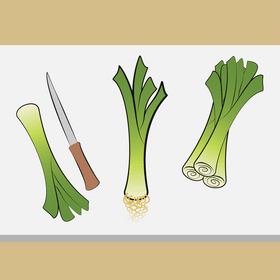 Leeks vegetable vector