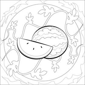 Watermelon fruit drawing black and white vector