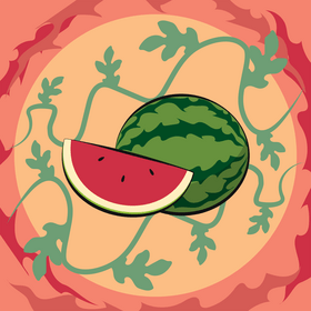 Watermelon fruit with leaves vector