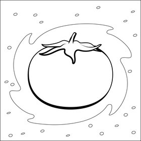 Tomato vegetable drawing black and white vector