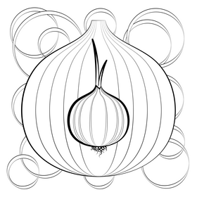 Onion vegetable black and white vector