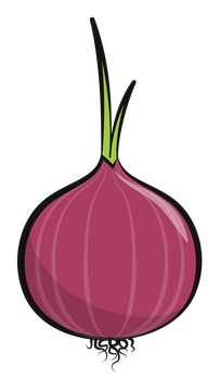 Onion vegetable clipart