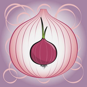 Onion vegetable vector