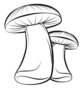 Mushroom black and white clipart