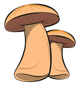 Mushroom clipart