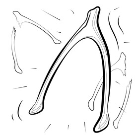 Wishbone black and white vector