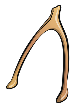 Wishbone clipart