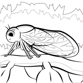 Cicada cartoon black and white vector