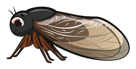 Cicada cartoon clipart