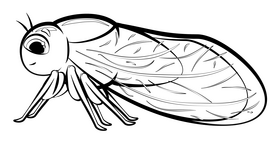 Cicada cartoon drawing black and white clipart