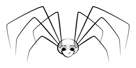 Daddy long legs spider cartoon drawing black and white clipart