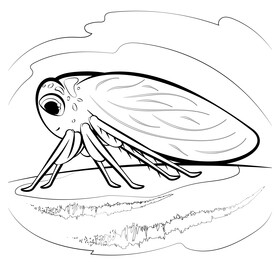 Leafhopper cartoon black and white vector