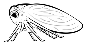 Leafhopper cartoon drawing black and white clipart
