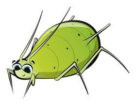 Aphid cartoon clipart