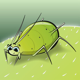 Aphid cartoon vector