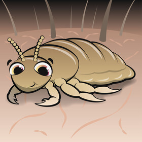 Louse cartoon vector