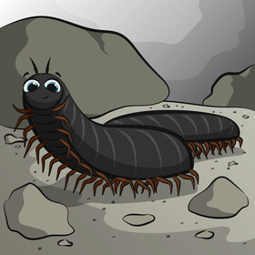Millipede cartoon vector