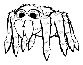 Jumping spider cartoon clipart free download