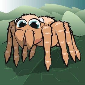 Jumping spider cartoon vector