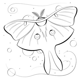 Luna moth cartoon black and white vector