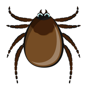 Tick bug insect cartoon clipart