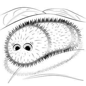 Woolly bear caterpillar cartoon black and white vector