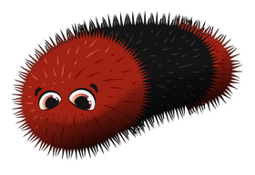 Woolly bear caterpillar cartoon clipart