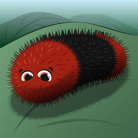 Woolly bear caterpillar cartoon vector