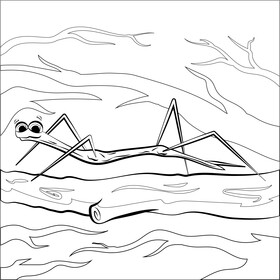 Walking stick bug insect cartoon black and white vector