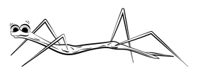 Walking stick bug insect cartoon drawing black and white clipart