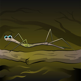 Walking stick bug insect cartoon vector