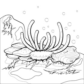Coral reef illustration black and white vector