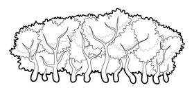 Forest black and white clipart