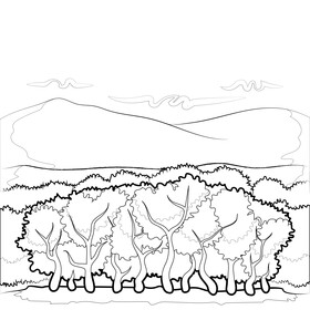 Forest drawing black and white vector