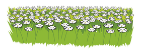 Meadow clipart