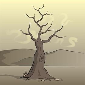 Leafless tree vector