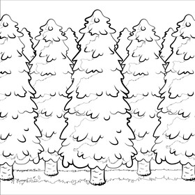 Pine tree black and white vector