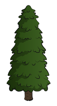 Pine tree clipart