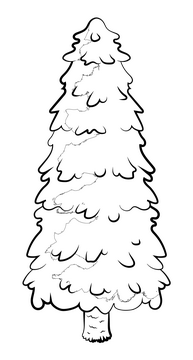 Pine tree drawing black and white clipart