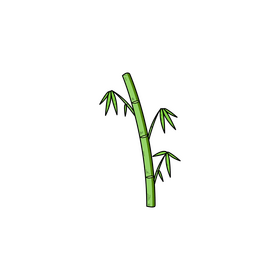 Bamboo drawing clipart