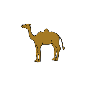Camel drawing clipart