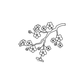 Cherry blossom drawing black and white clipart