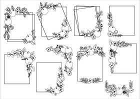 Apple blossom flower frame and border black and white vector