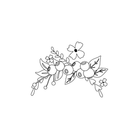 Transparent blueberry blossom floral frame black and white clipart