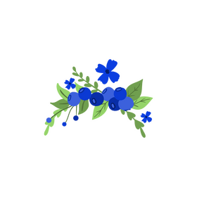 Transparent blueberry blossom floral frame clipart
