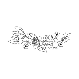 Transparent blueberry blossom floral border black and white clipart