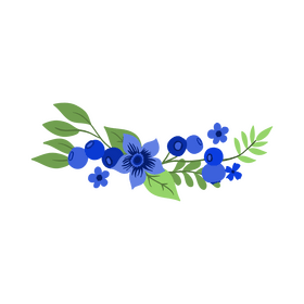 Transparent blueberry blossom floral border clipart